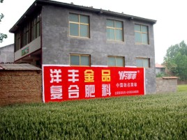 宾阳如何让墙体广告展现最大化效果