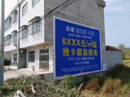 宾阳墙体广告质量分析