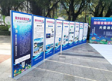 宾阳KT板的种类和知识。